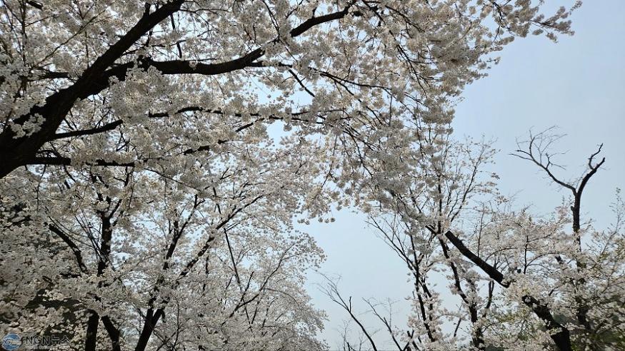 KakaoTalk_20240410_132206880.jpg