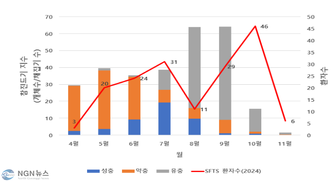 진드기.PNG