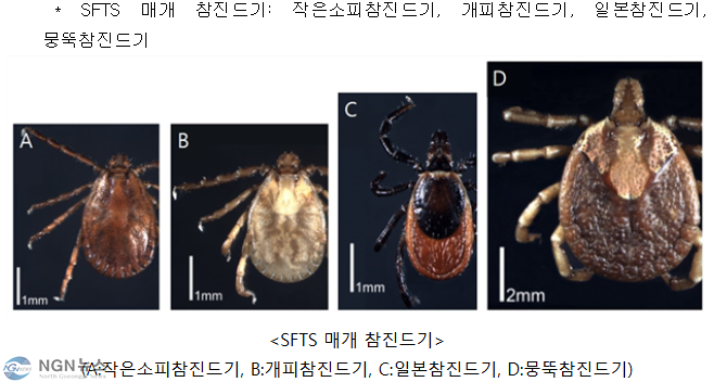 진드기1.PNG
