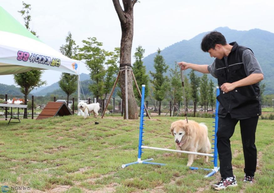 5-1 포천문화관광재단, 한탄강 생태경관단지에서 ‘펫티켓 클래스’ 운영.jpg