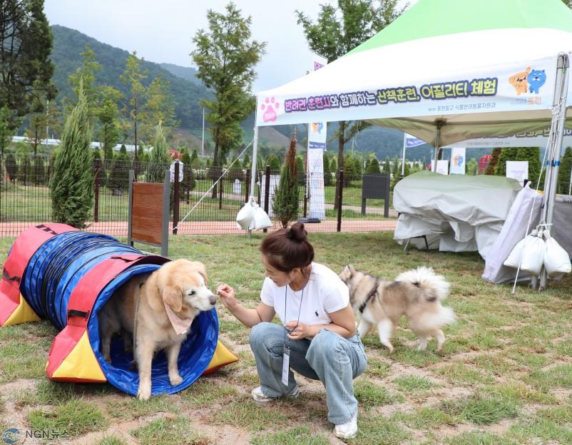 5-2 포천문화관광재단, 한탄강 생태경관단지에서 ‘펫티켓 클래스’ 운영.jpg