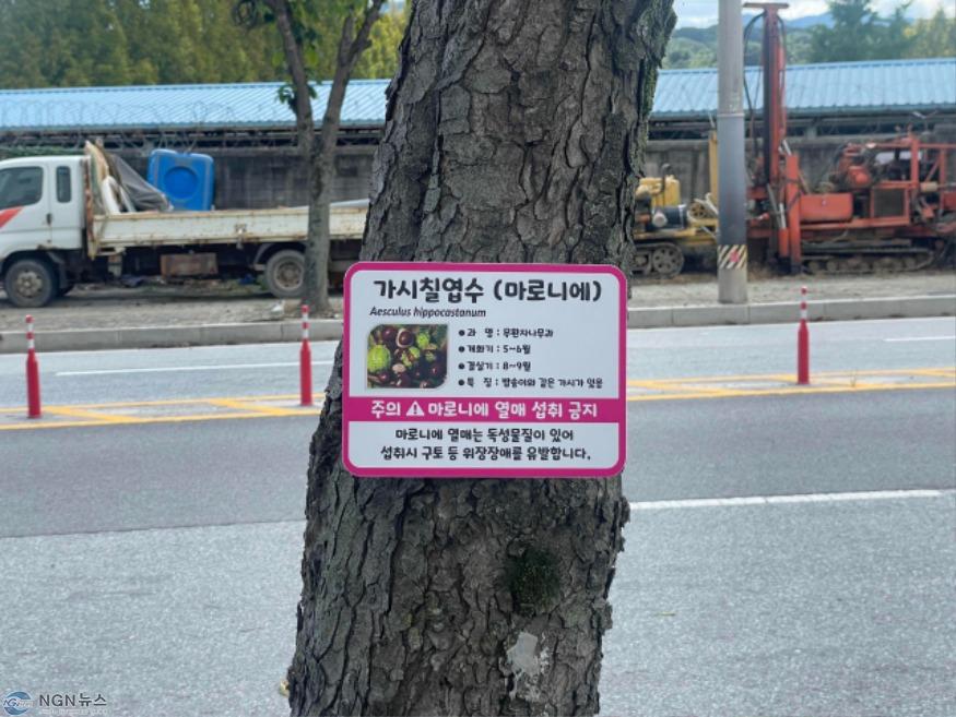 Resized_2023년 열매 취식금지 안내표찰 거치사진_1_1747213221597.jpeg