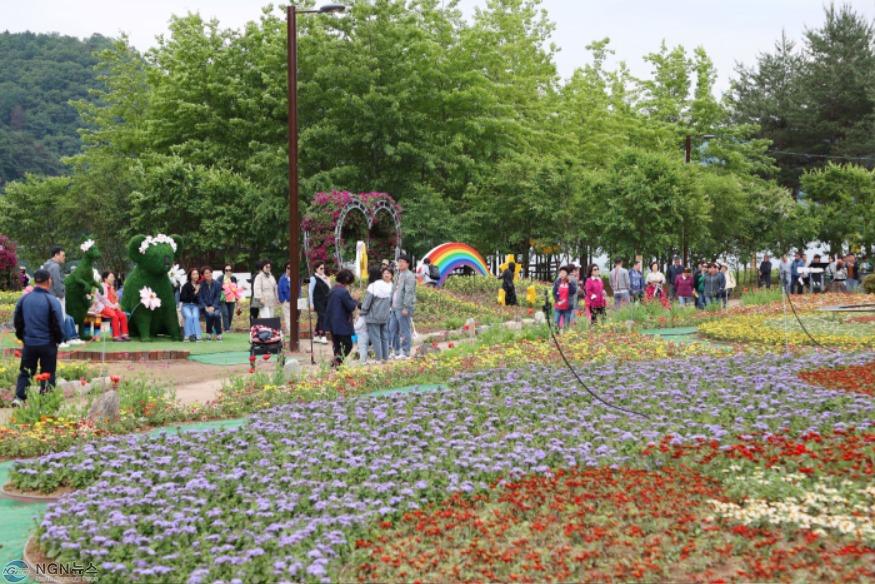 (가)화려한 꽃들의 유혹… 가평 ‘자라섬 꽃 페스타’ 개막(2025년 자라섬 봄꽃 페스타 개막식)4 (1).jpg
